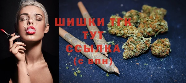 прущие грибы Тында